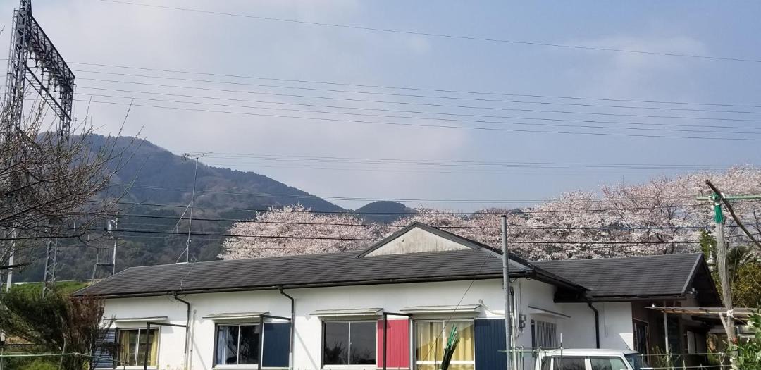 Photo of Others in Kashiba