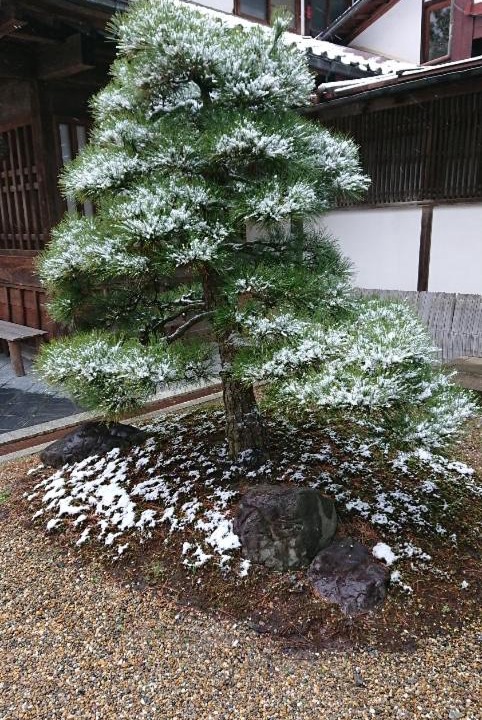 Photo of Outdoor in Yoshino