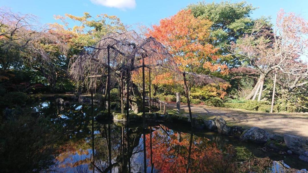Photo of Others in Yoshino