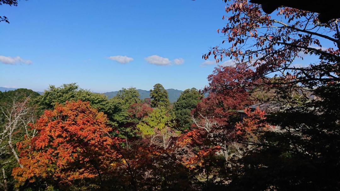 Photo of Others in Yoshino