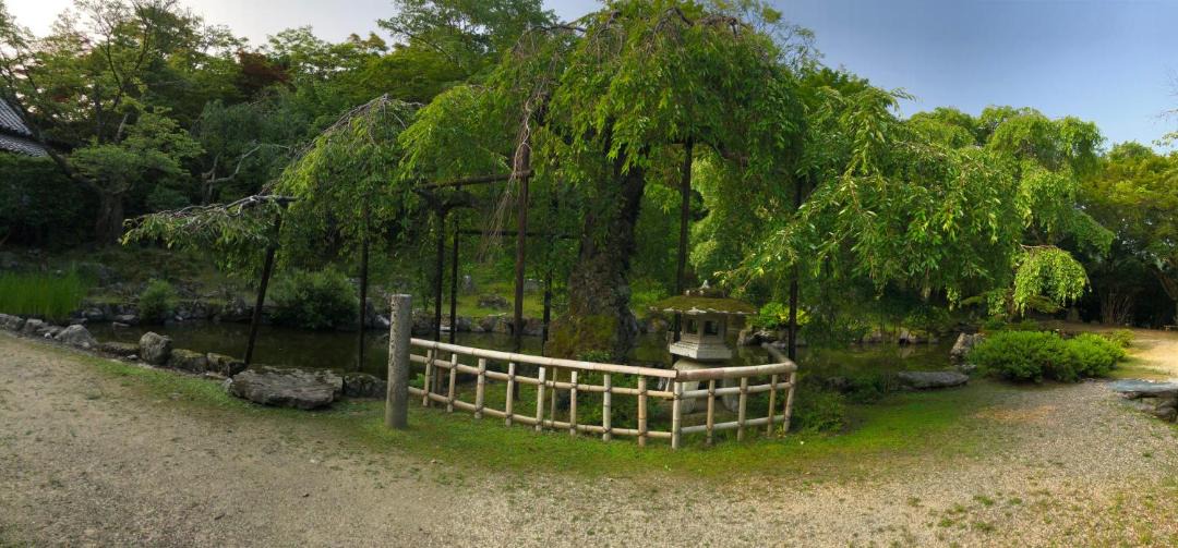 Photo of Others in Yoshino