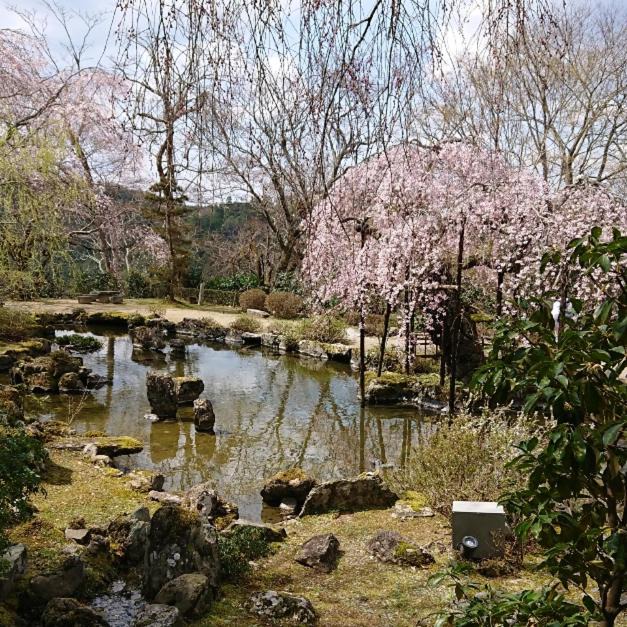 Photo of Others in Yoshino