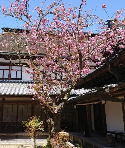 Photo of Others in Yoshino