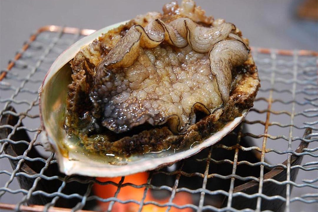 Photo of Others in Toba