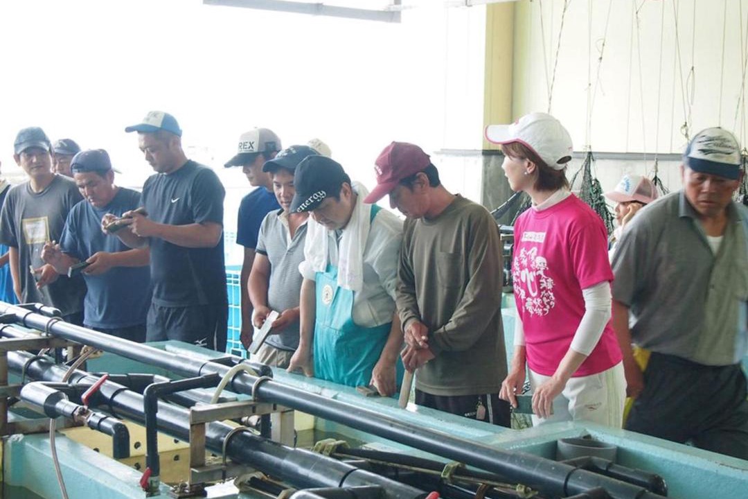 Photo of Others in Toba