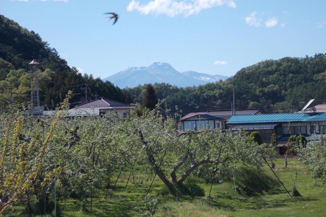 Photo of Others in Takayama-mura