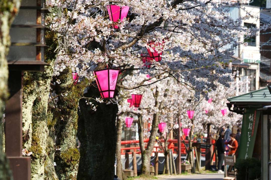 Photo of Others in Kinosaki Onsen