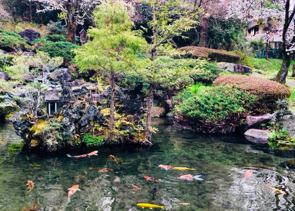 Photo of Others in Takasaki