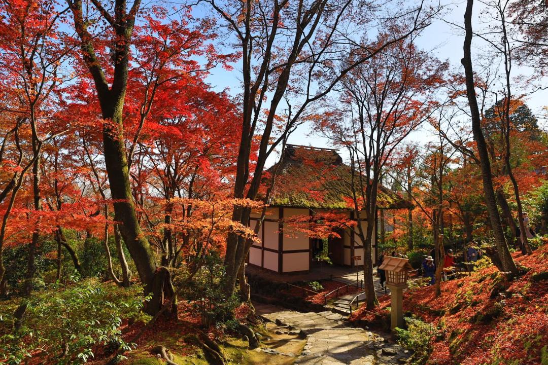 Photo of Others in Arashiyama