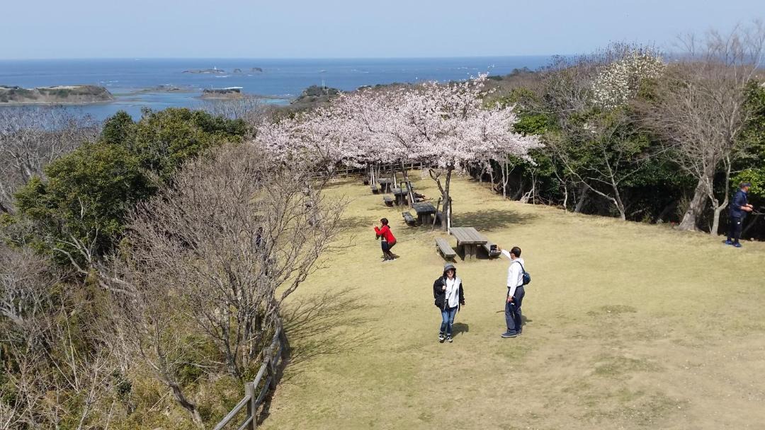 Photo of Others in Tsushima
