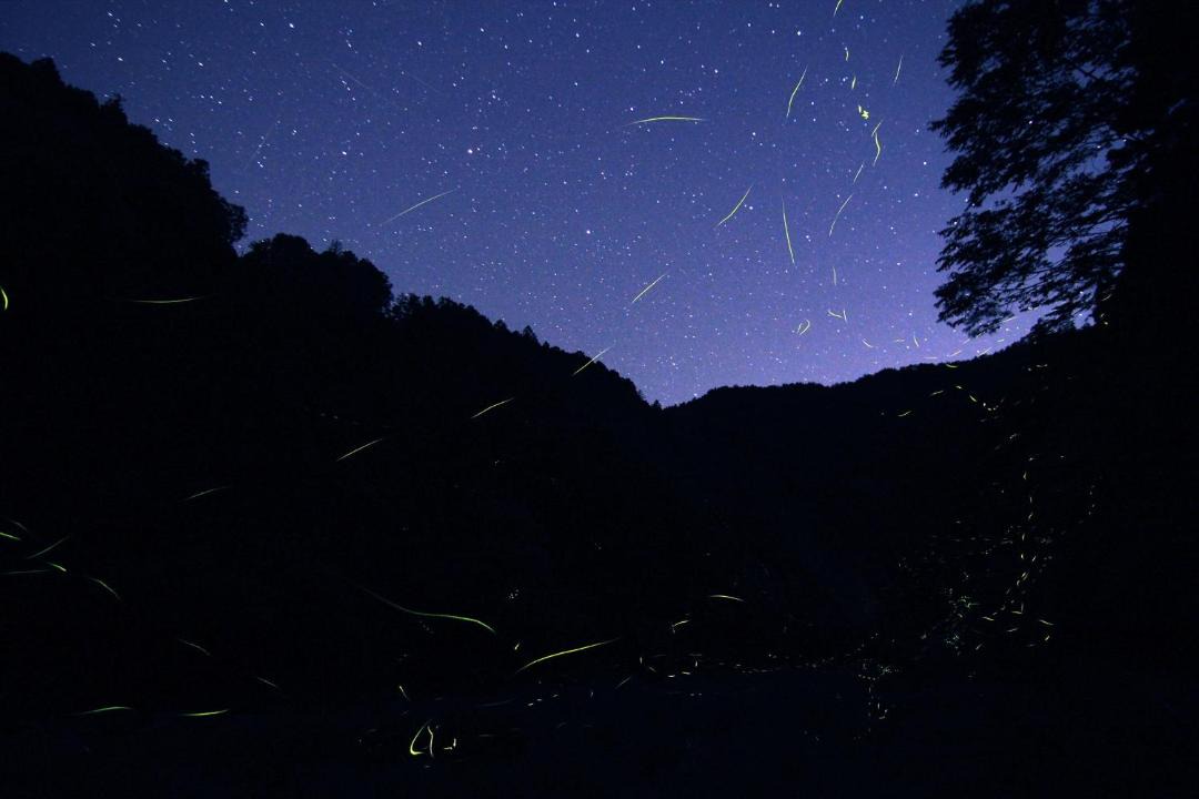 Photo of Others in Hashimoto