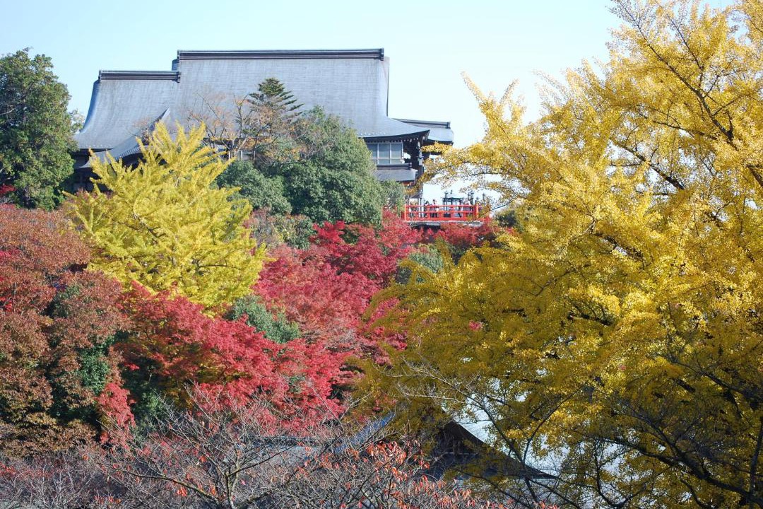 Photo of Others in Heguri