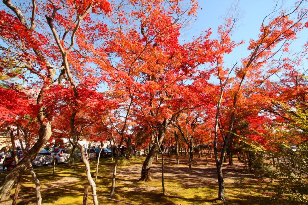 Photo of Others in Arashiyama