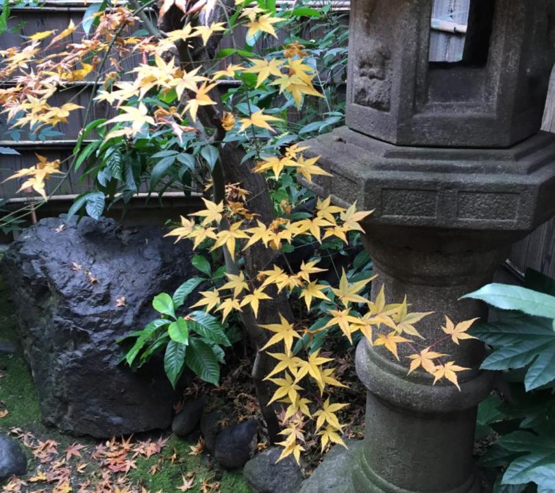 Photo of Others in Central Kyoto