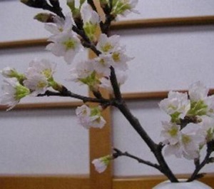 Ryokan Stay 
