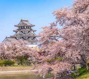 Okasan Hotel Stay 