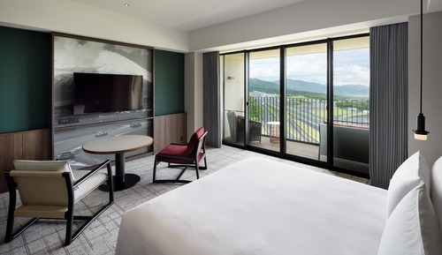 Room, 1 King Bed