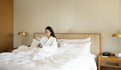 Room, 1 King Bed