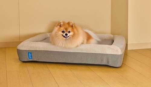 [C] Dog-Friendly / 4 Single beds + 1 Daybed / 111 sqm / with Natural Hot Spring (up to 6 guests)