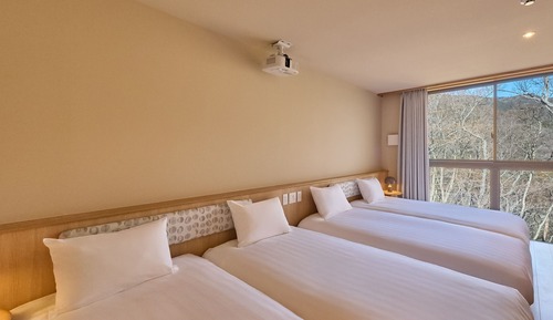 [C] 2 Double beds + 4 Single beds / 112 sqm / with Natural Hot Spring (up to 8 guests)
