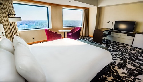 Premium Room, 1 Queen Bed (Nagoya Port Ferris Wheel View)