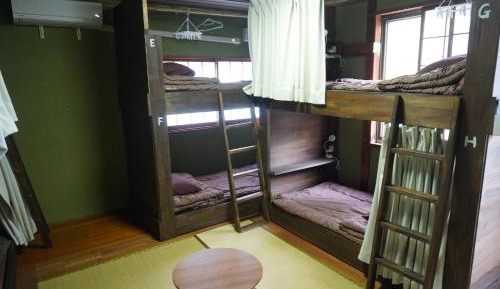 Bunk Bed in Mixed Dormitory Room