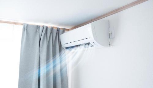 Bunk Bed in Male Dormitory Room 