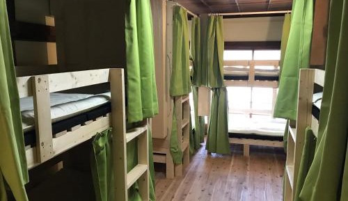 Bunk Bed in Mixed Dormitory Room
