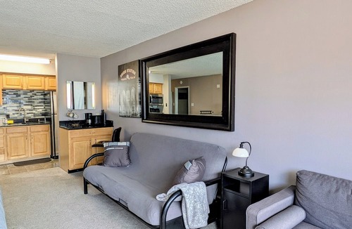 Downtown Denver Condo | STUDIO 13: LARGE BALCONY, CITY VIEWS, GYM, POOL, NEAR ATTRACTIONS, SPORTS VENUES