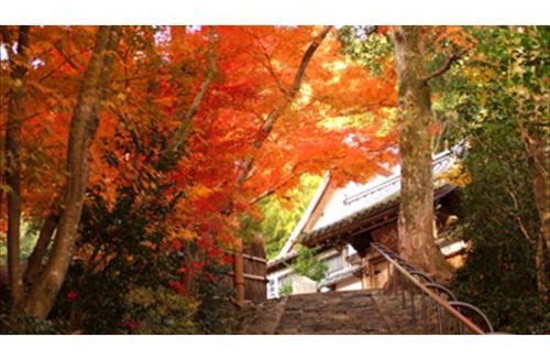 Arashiyama Hotel | River Side Arashiyama - Vacation STAY 86216v
