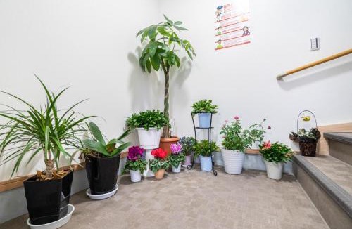 Kawaguchi House | Travel Palace Miyuki "Yomiuri Shimbun" - Vacation STAY 5573
