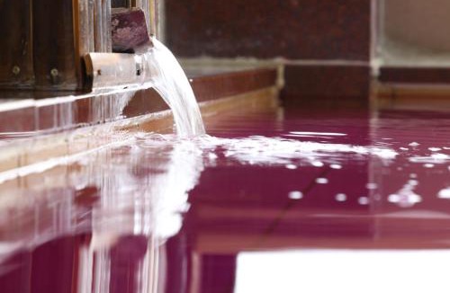Isawa Onsen Hotel | Hotel Hatta