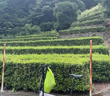 Atami House | Mitte Lodge 健やかな大人達の田舎ホームステイ1日1組限定で駅送迎と3食家庭料理体験付き