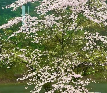 Atami Apartment | VIVI Atami Shizenkyo Room 3001 - Vacation STAY 14277