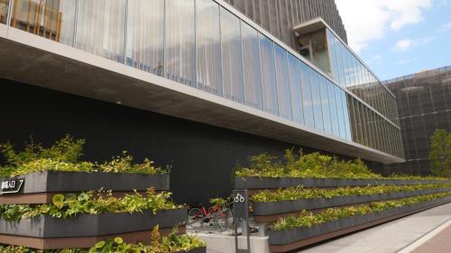 Kita Ward Hotel | Toyoko Inn Okayama eki Nishi guchi Hiroba