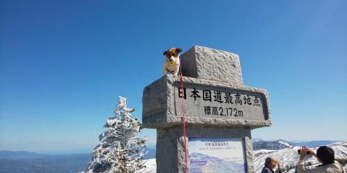 Yudanaka Shibu Onsen Hostel | Yamanouchi sekisan chi