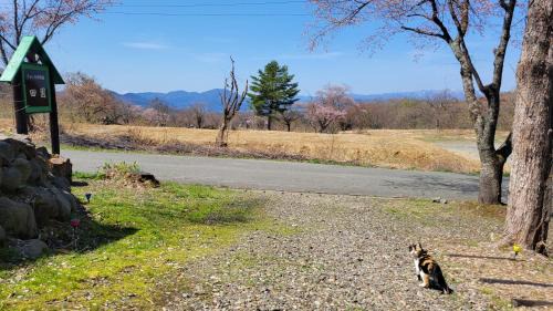 Senboku House | Forest Club DEN-EN -A Private Natural Onsen Retreat-