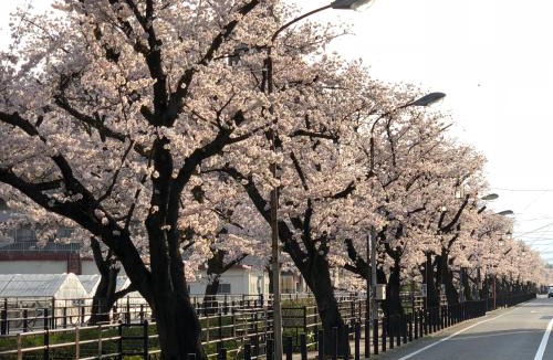 Kofu Hotel | Beautiful Japanese Garden Kagetsu