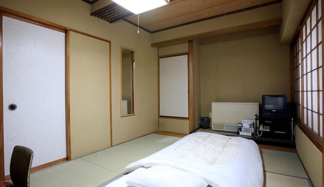 Takasaki Ekimae Plaza Hotel