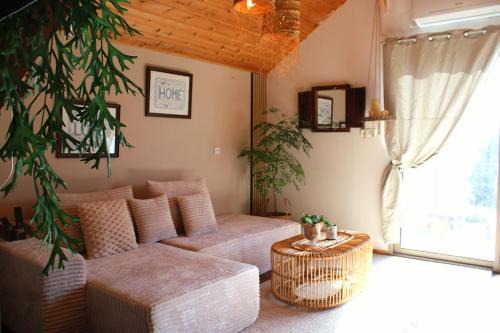 Sunny's Suite